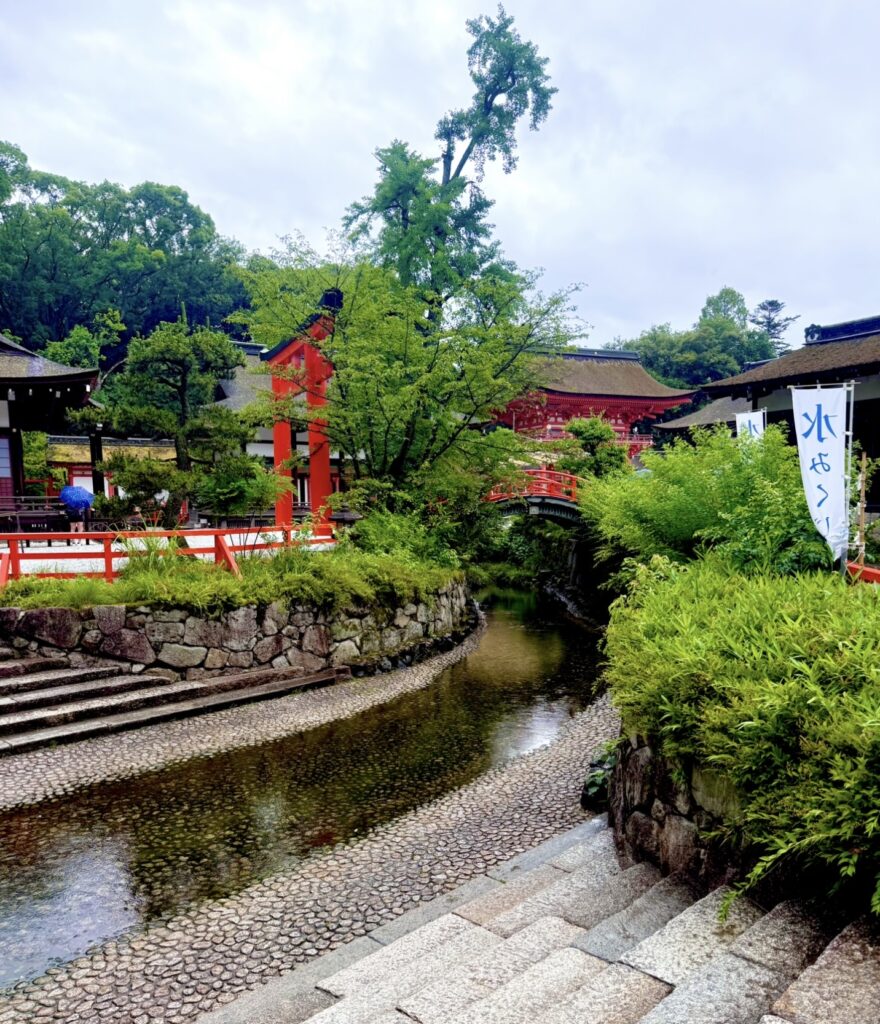 下鴨神社みたらし池周辺の風景。雨に潤う緑と赤い橋が美しい